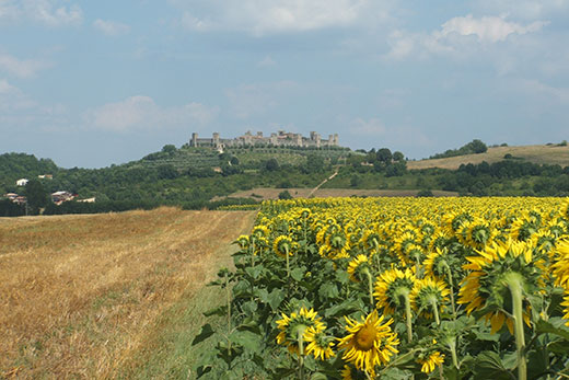 TOSCANA DA SCOPRIRE